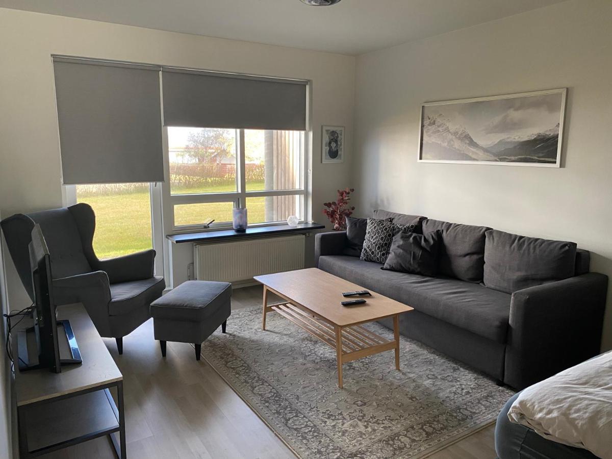 David'S Apartment Селфосс Экстерьер фото