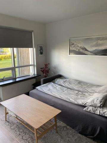 David'S Apartment Селфосс Экстерьер фото